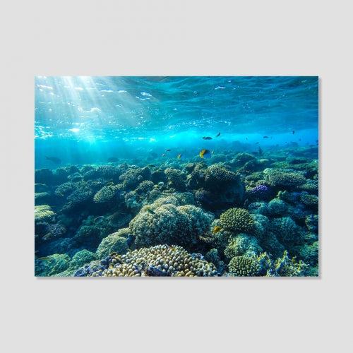 Lamina Summer Series Portable Desk - Wall Art