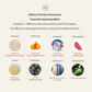 Gong100 Stain Remover Spray