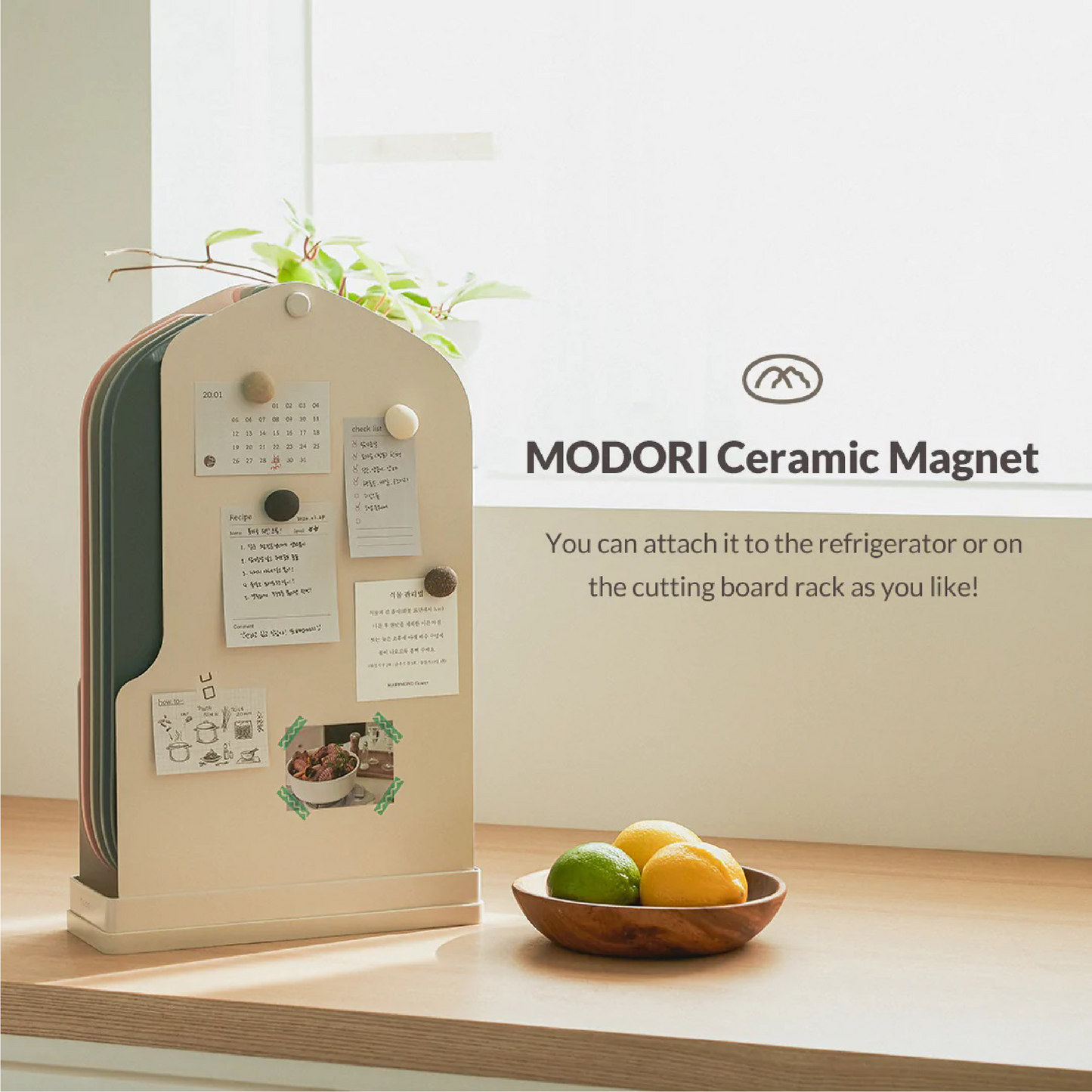 Modori Ceramic Magnet Handy Pinning Made in Korea