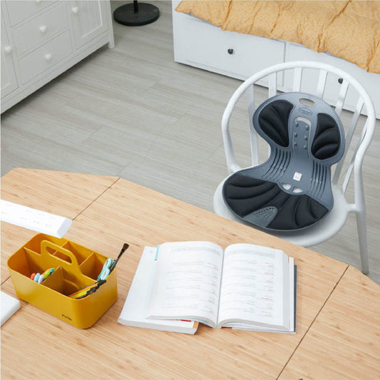 Baluen Home Office Posture Correction Chair